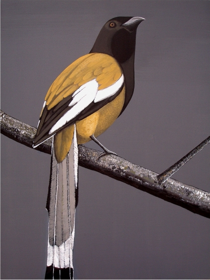 Rajan Krishnan  Pastoral Bird 2  2011 Acrylic on canvas 48 x 36 in.